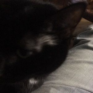 Meet your Posher, Steve